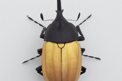 Insekten_Ross10