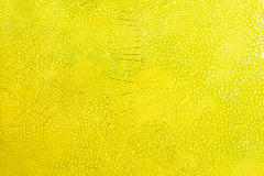 UteNaue_Engobe2