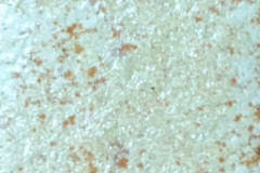 Asiatische-Glasuren_3