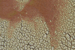 Funky-Surfaces1