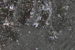 Funky-Surfaces2