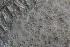 Funky-Surfaces4