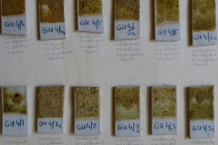 Glasurentwicklung_3